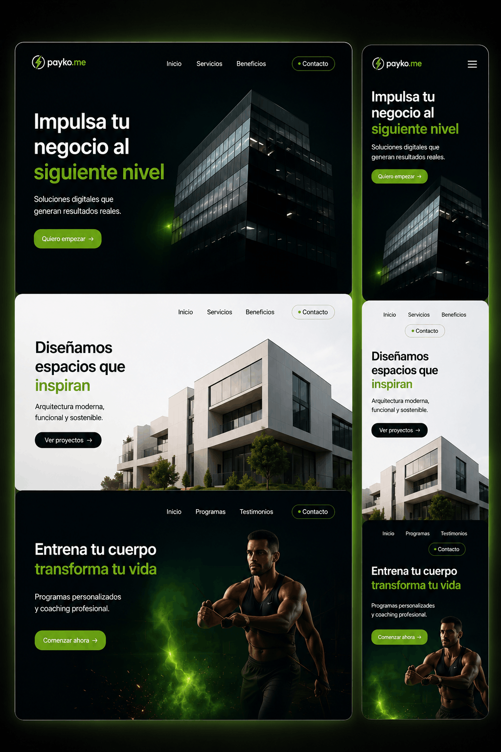 Referencia visual página web Payko